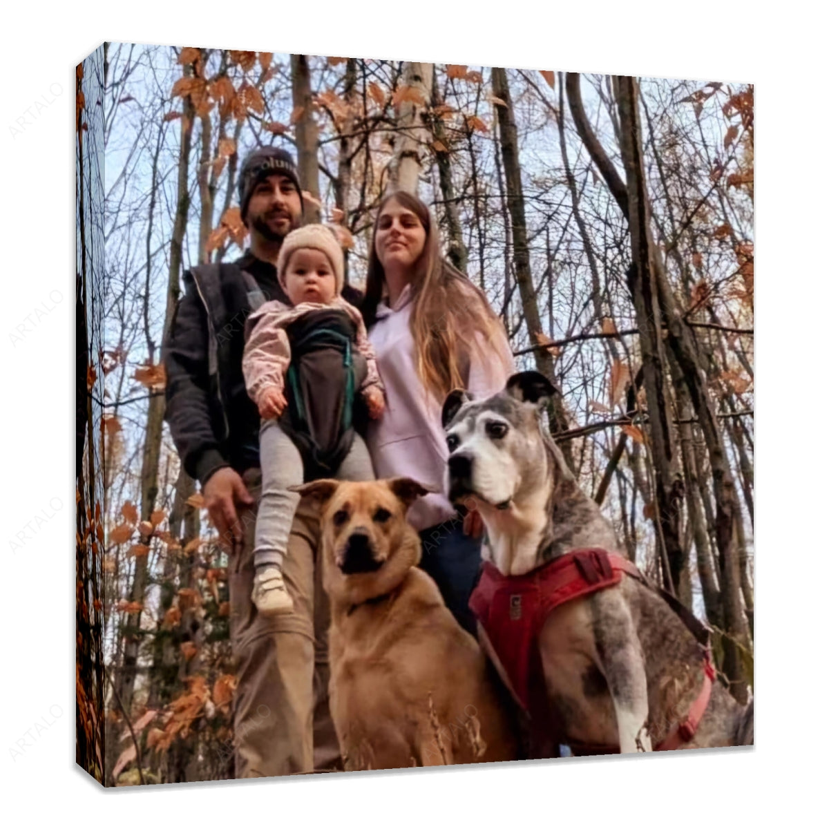 Toile étirée sur bois SimulArt