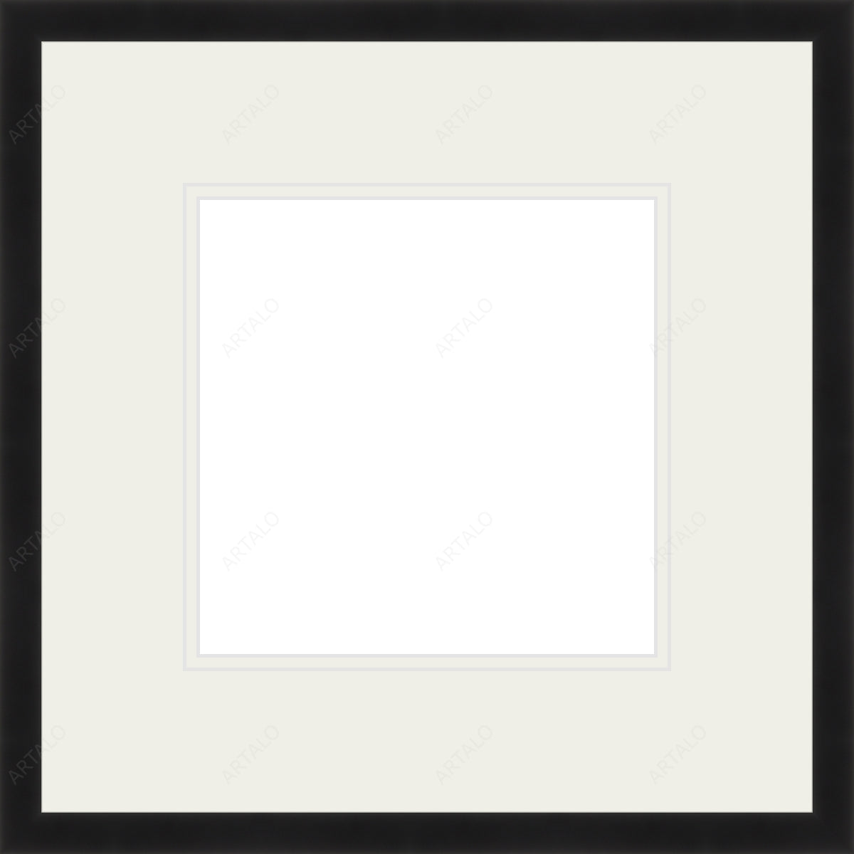 Frame, Mat and Acrylic