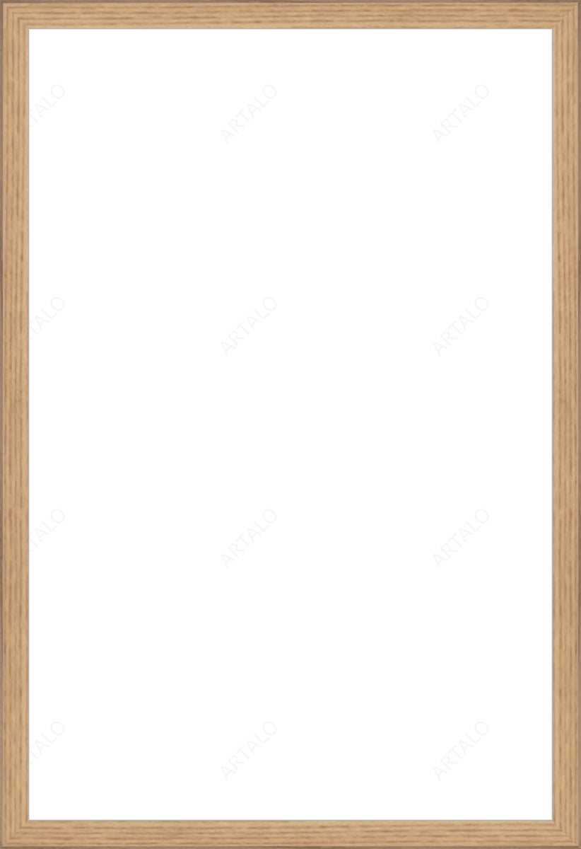 Frame and Acrylic SimulArt