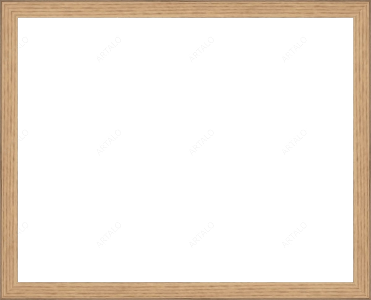 Frame and Acrylic SimulArt