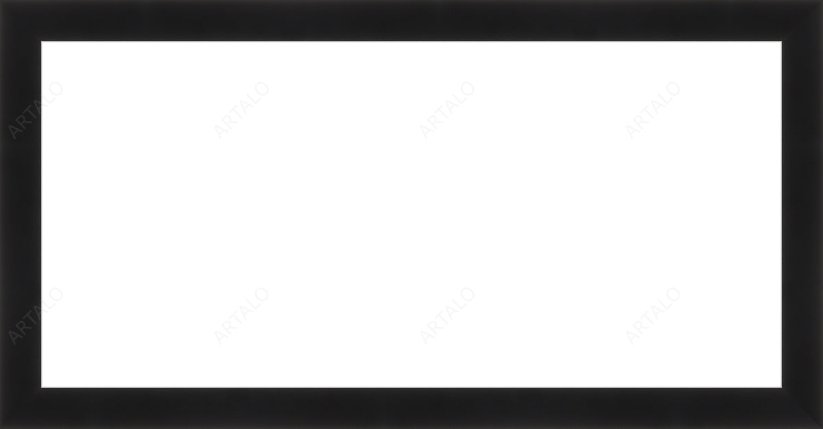 Frame and Acrylic SimulArt