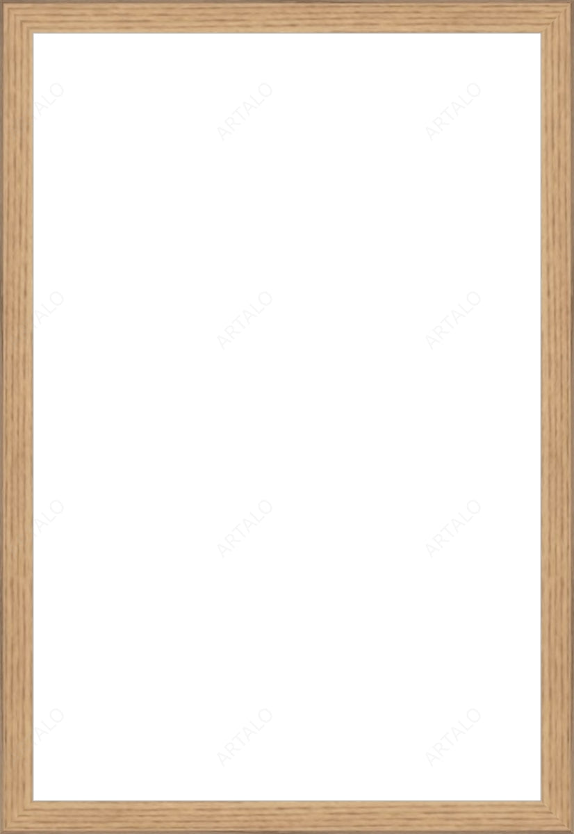 Frame and Acrylic SimulArt