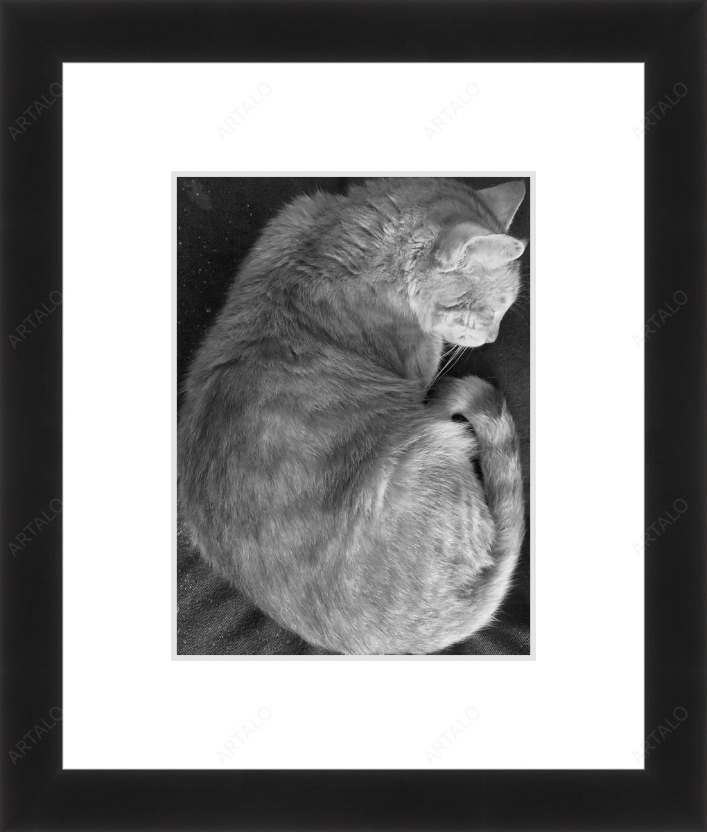 Frame, Mat and Acrylic SimulArt