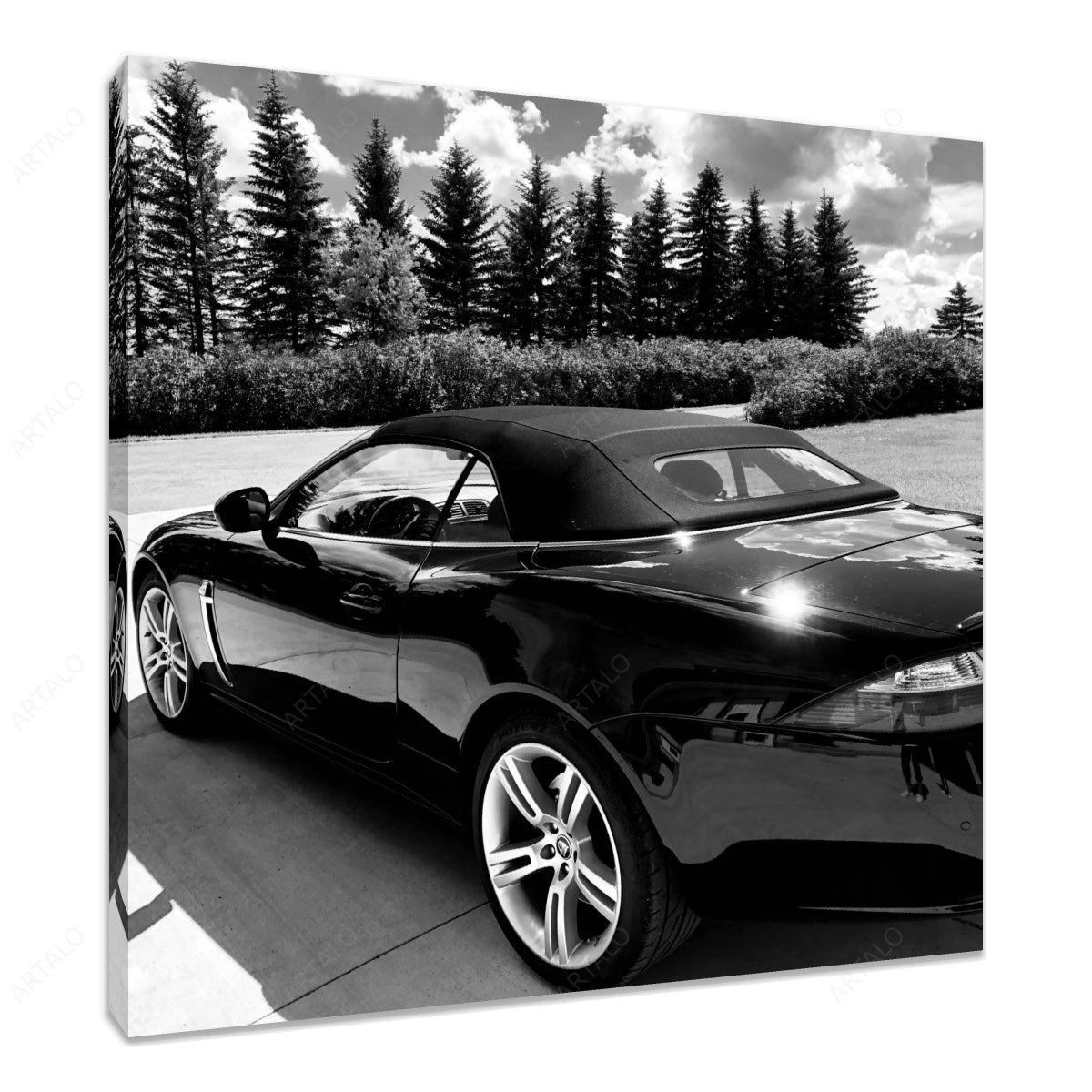 Stretched Canvas SimulArt