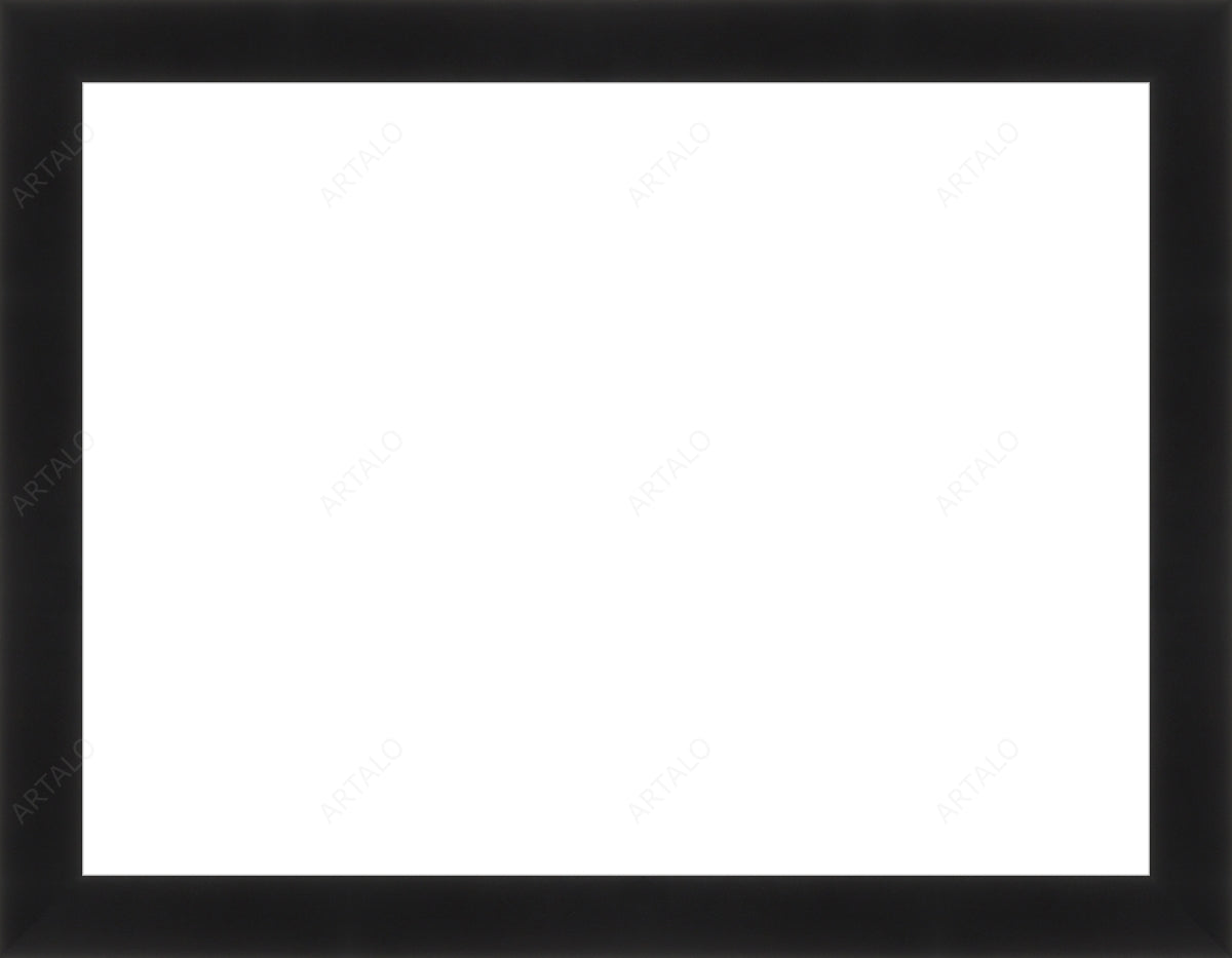 Frame and Acrylic SimulArt