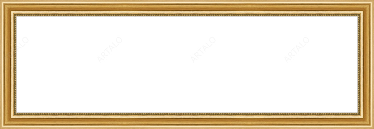 Frame and Acrylic SimulArt