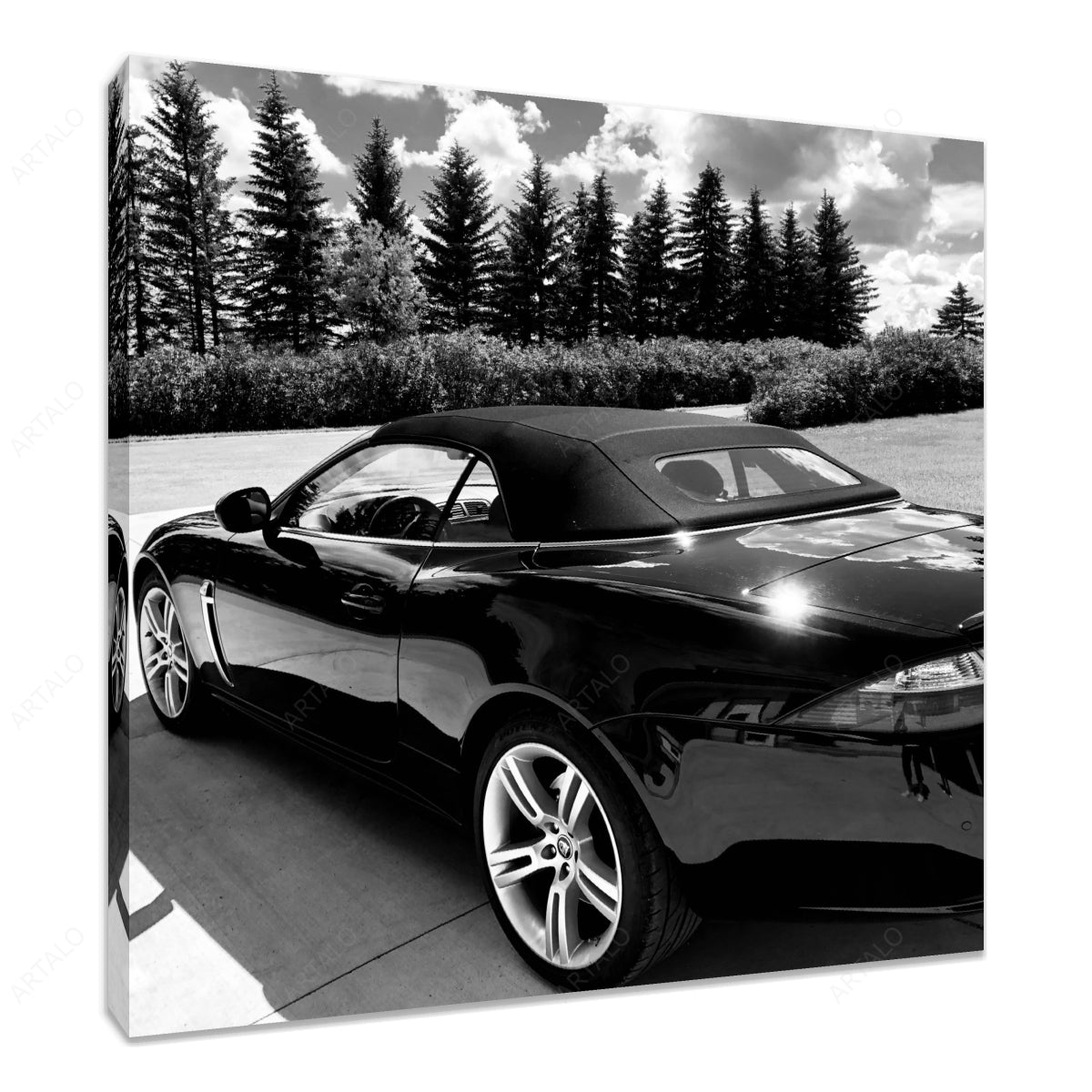 Stretched Canvas SimulArt