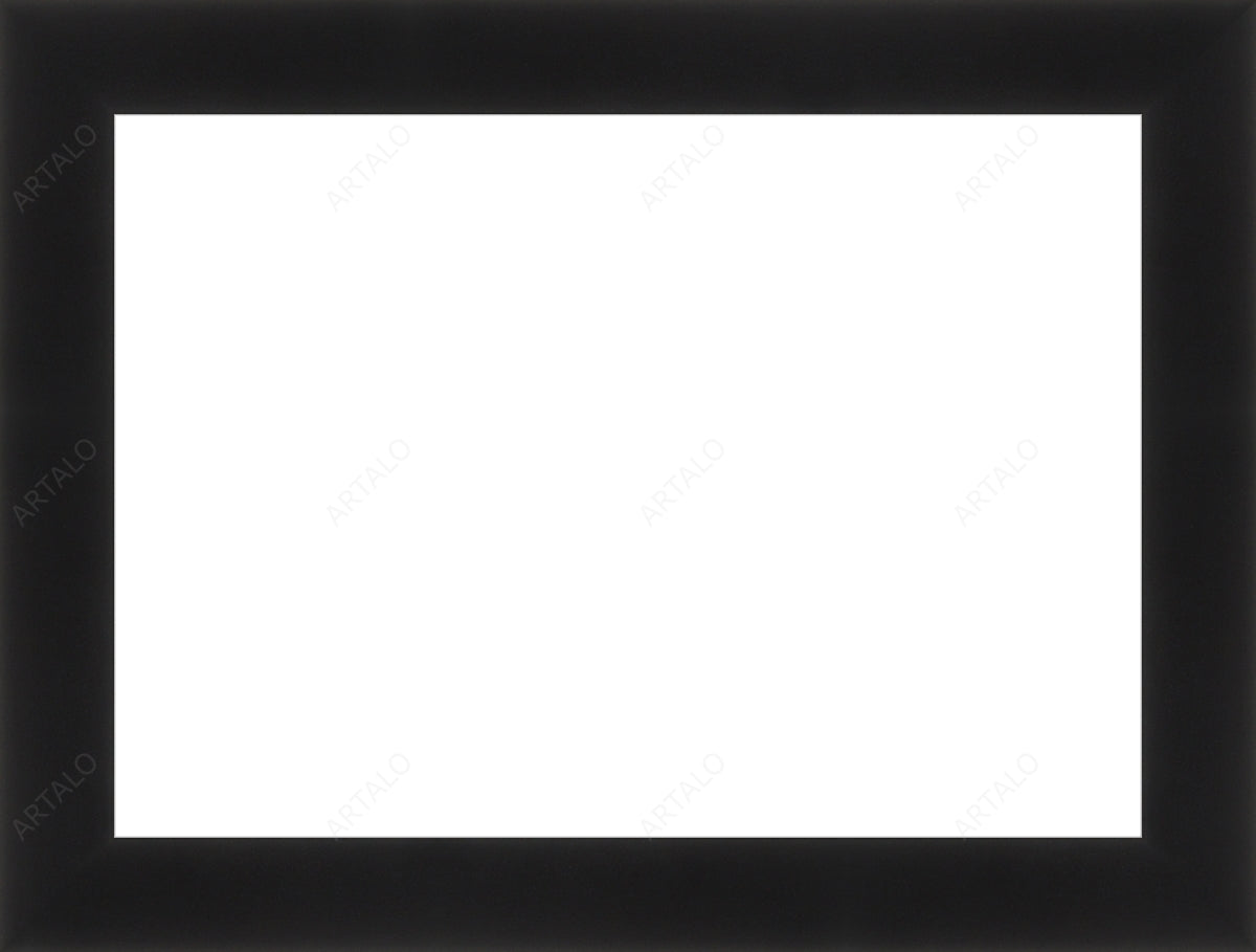 Frame and Acrylic SimulArt