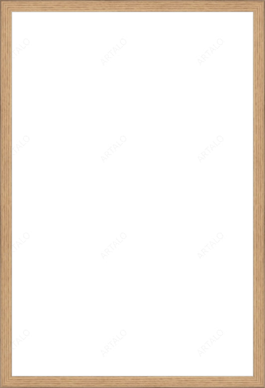 Frame and Acrylic SimulArt