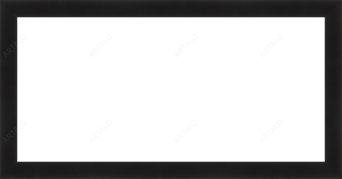 Frame and Acrylic SimulArt