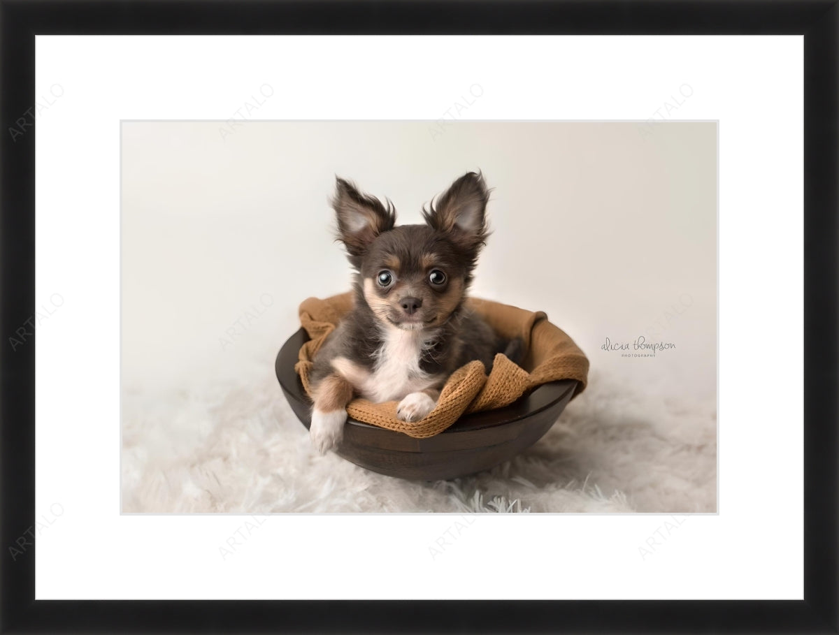 Frame, Mat and Acrylic SimulArt