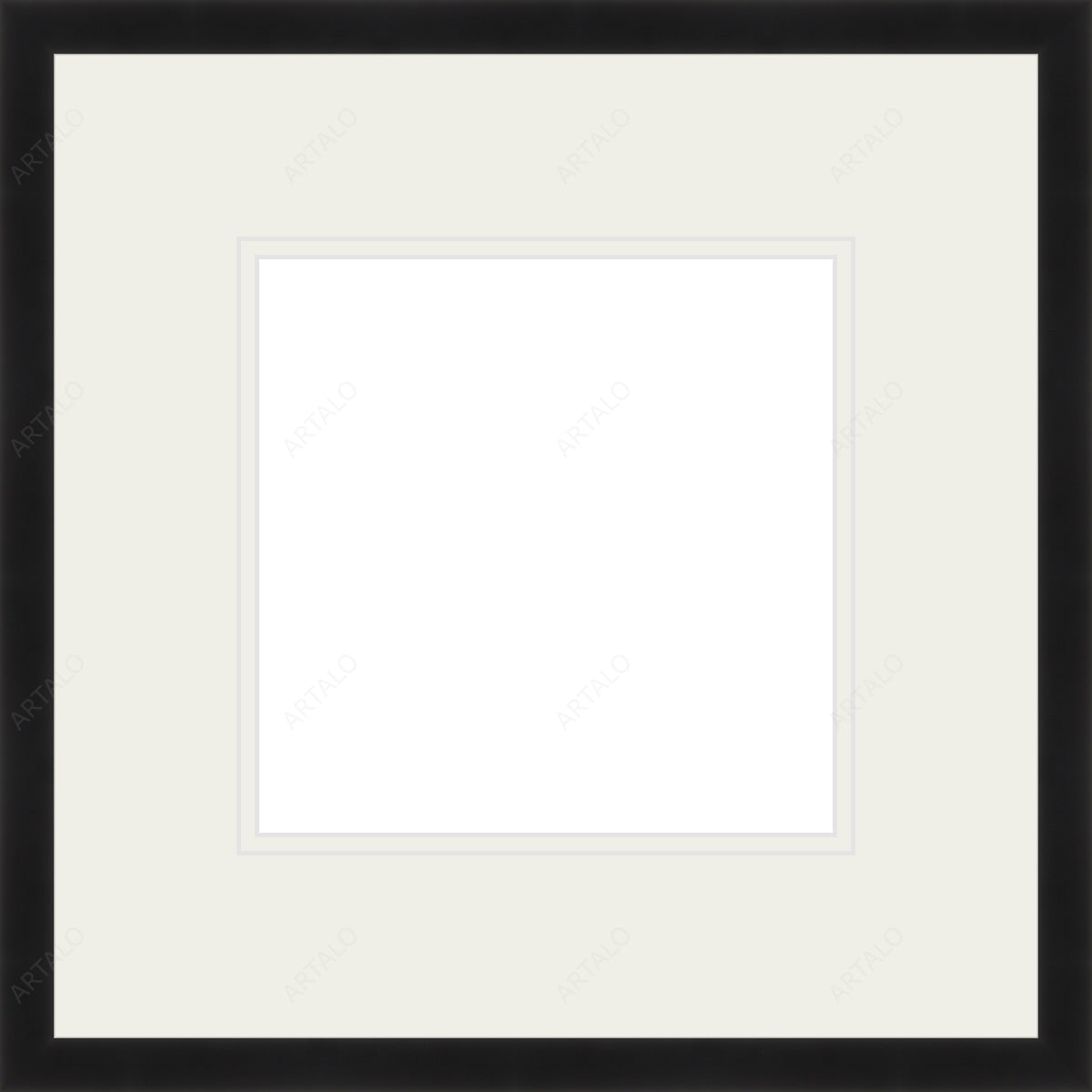 Frame, Mat and Acrylic SimulArt