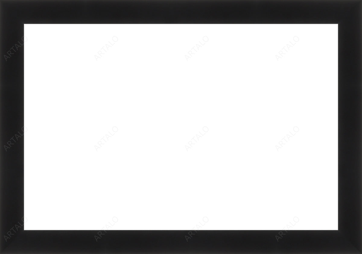 Frame and Acrylic SimulArt