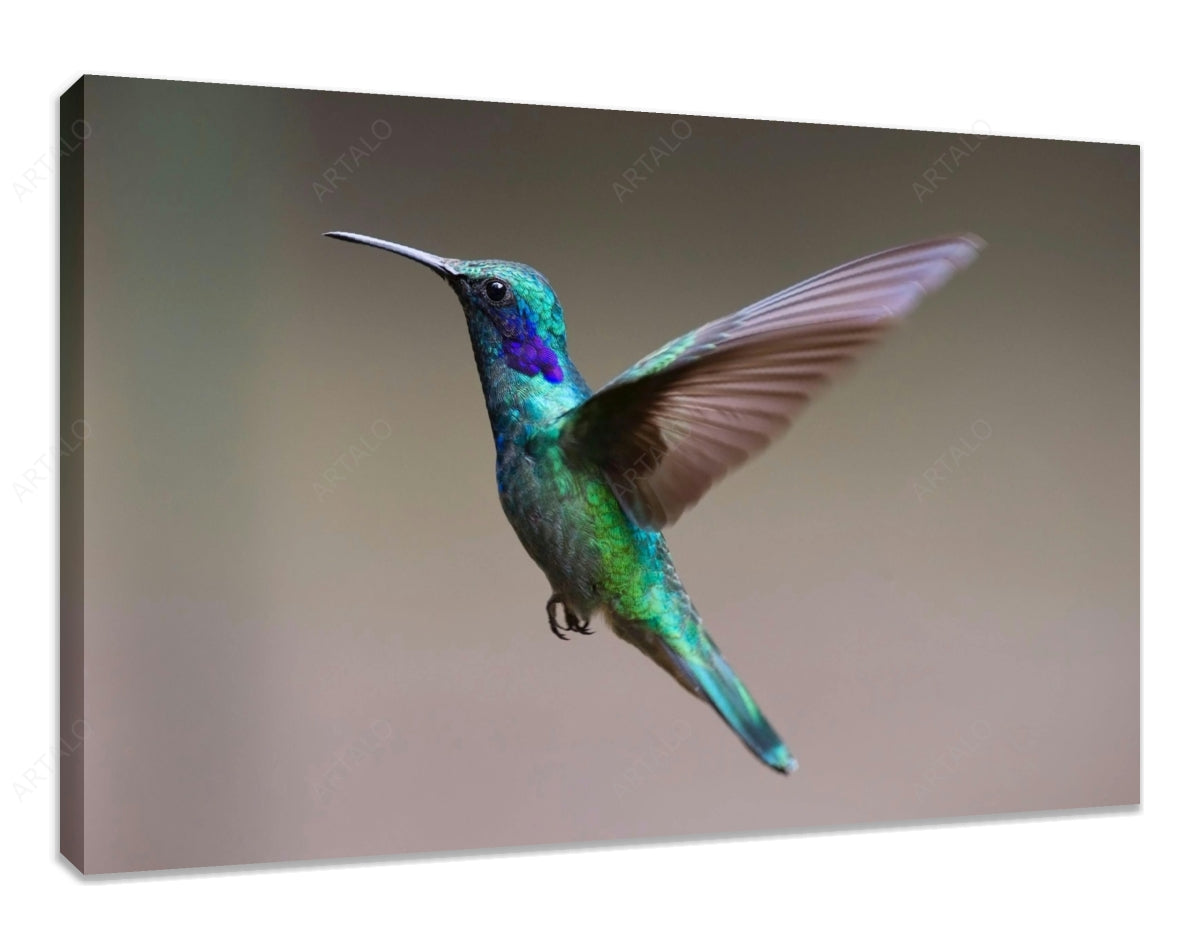 Stretched Canvas SimulArt