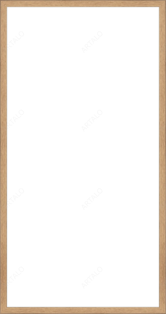 Frame and Acrylic SimulArt