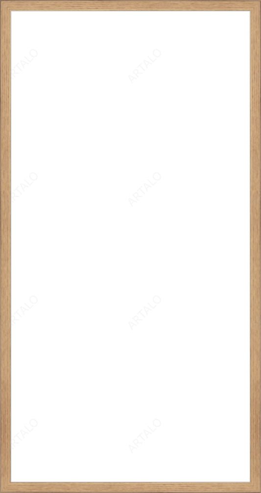 Frame and Acrylic SimulArt