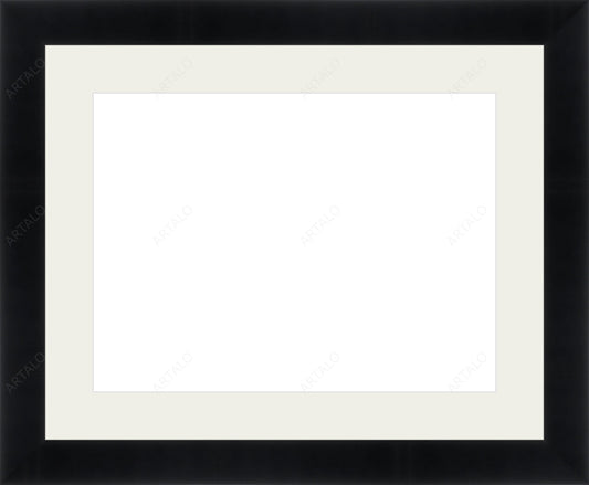 Frame, Mat and Acrylic SimulArt