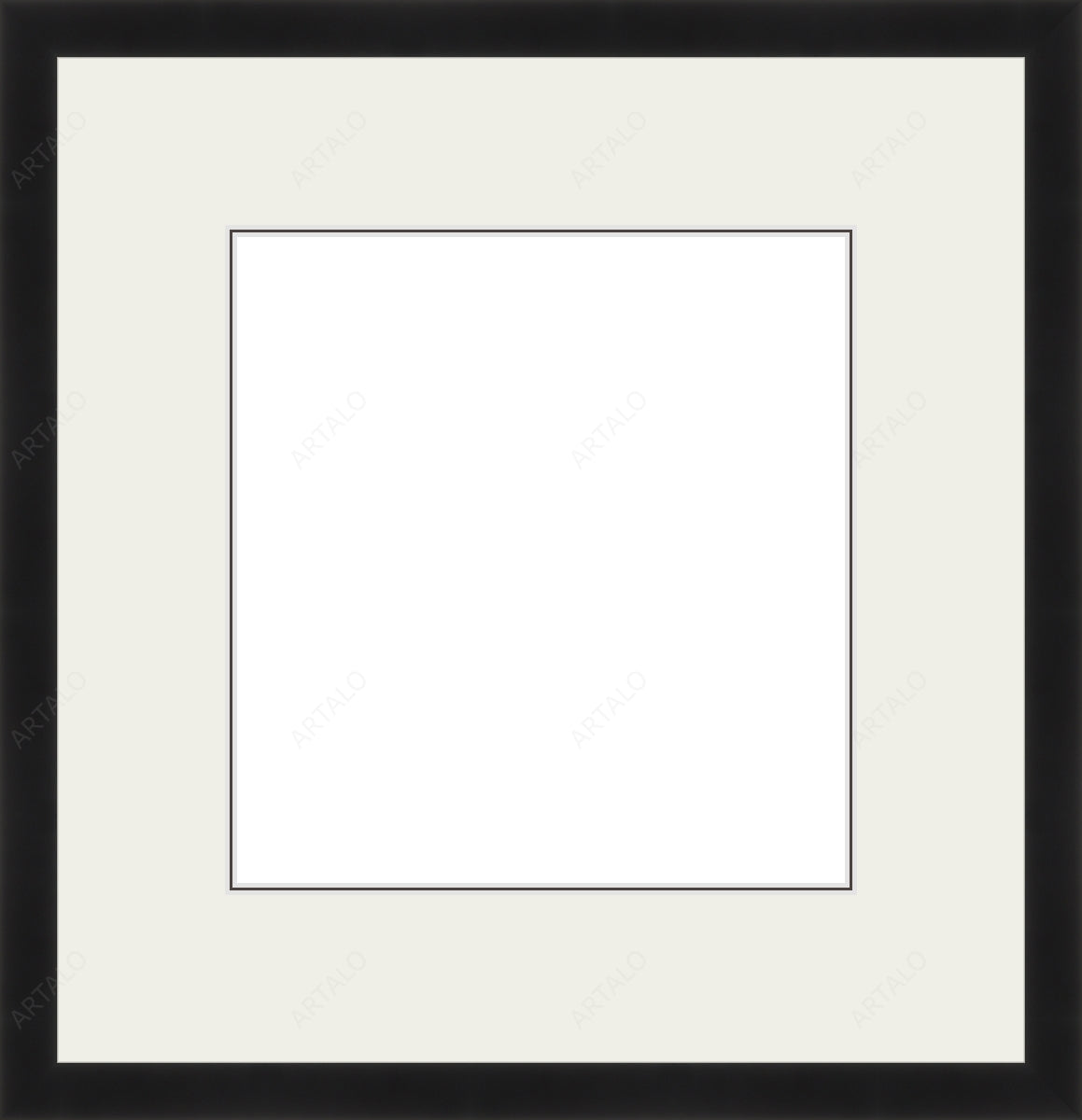 Frame, Mat and Acrylic SimulArt