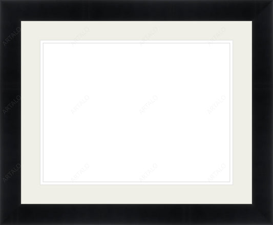 Frame, Mat and Acrylic SimulArt