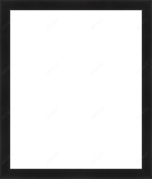 Frame and Acrylic SimulArt