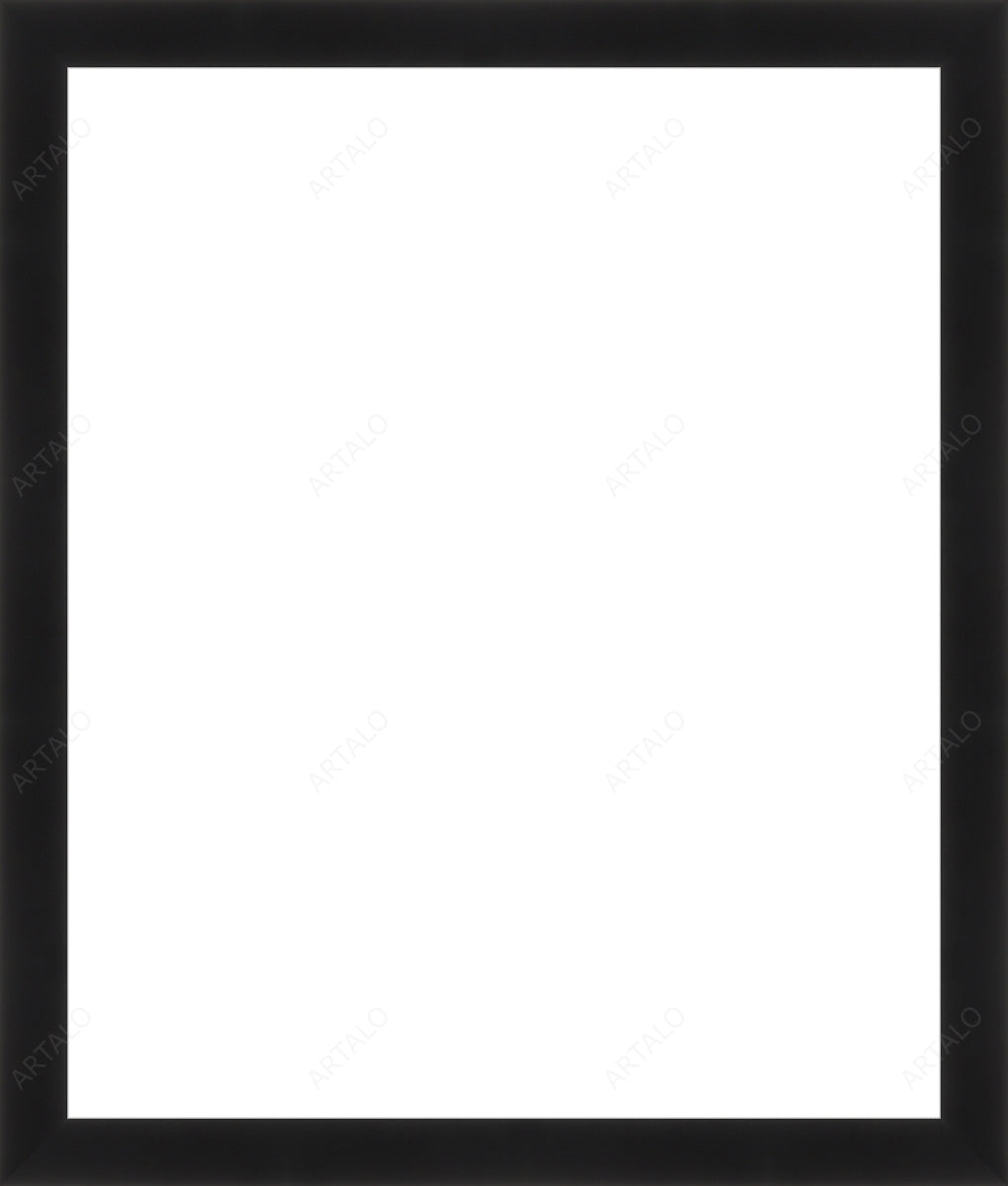 Frame and Acrylic SimulArt