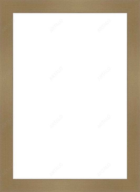 Frame and Acrylic SimulArt
