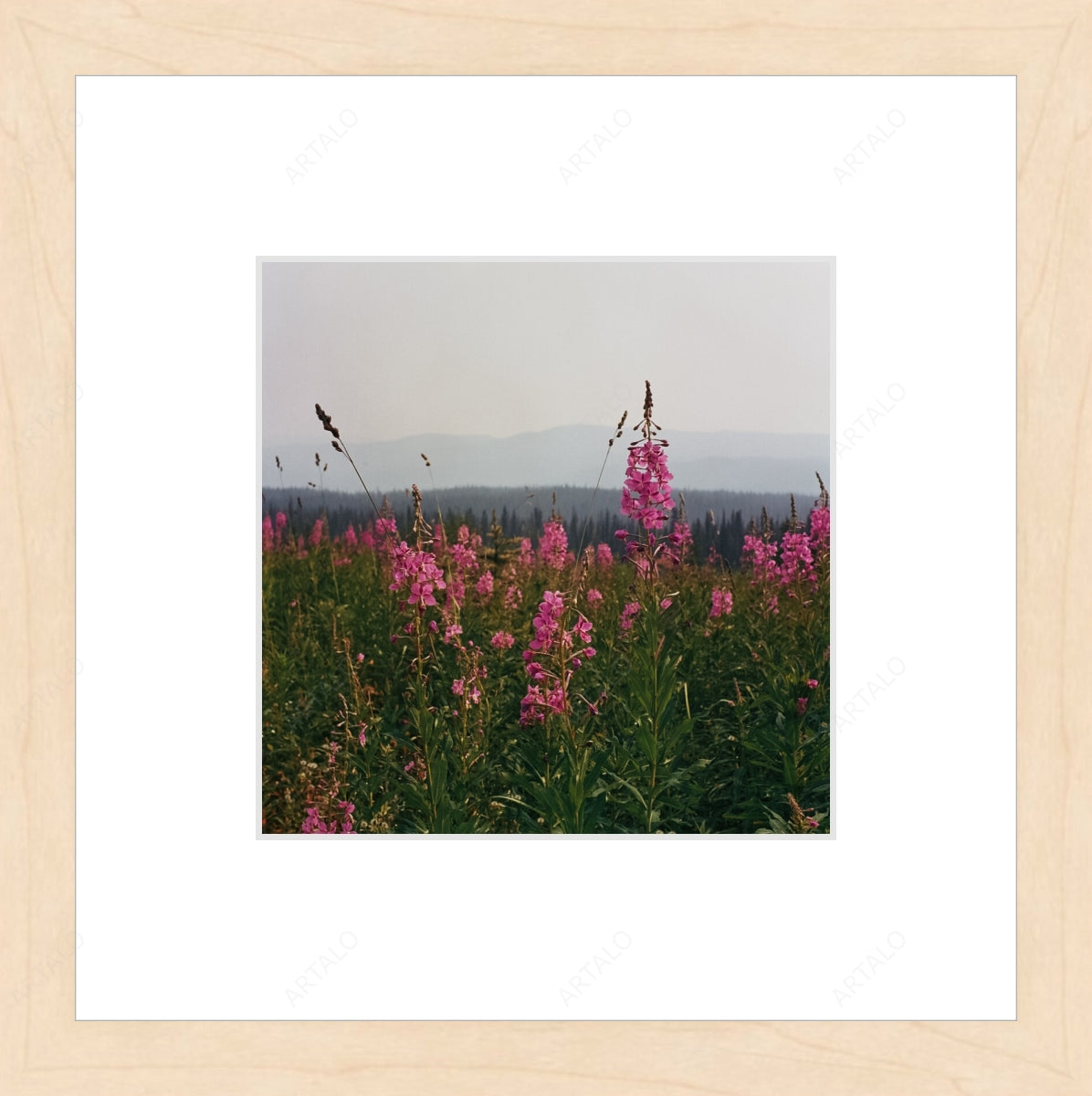 Frame, Mat and Acrylic SimulArt