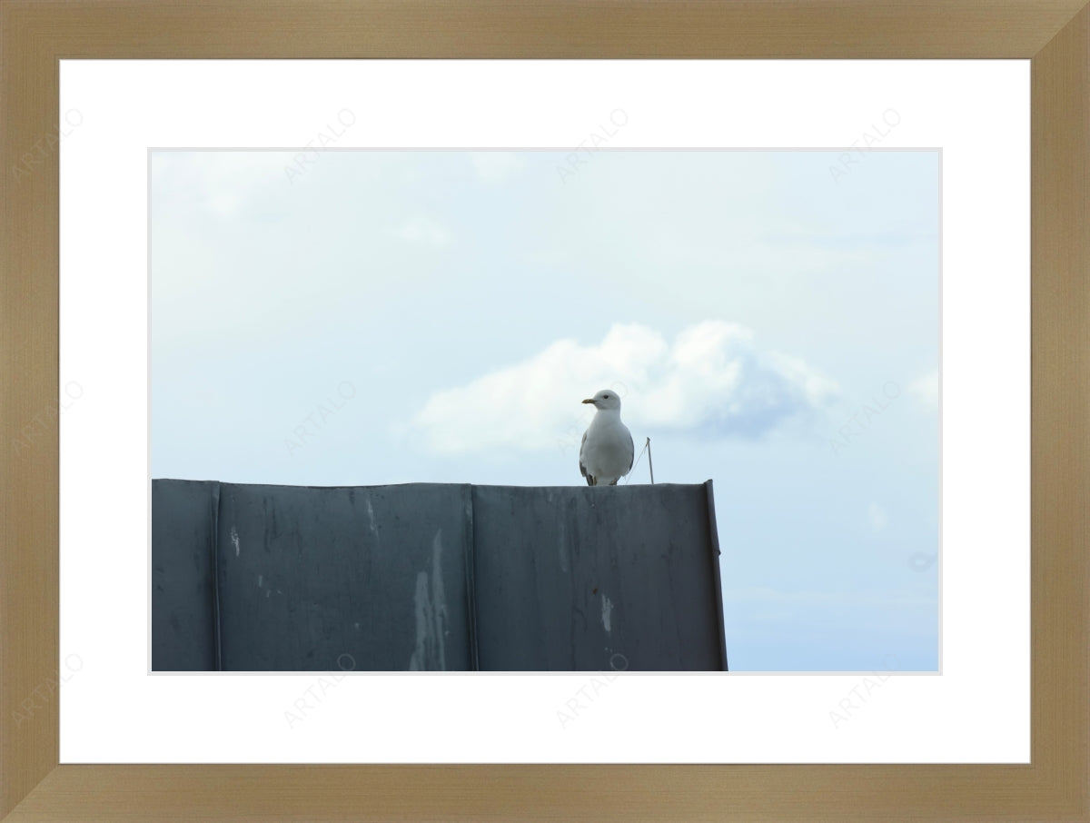 Frame, Mat and Acrylic