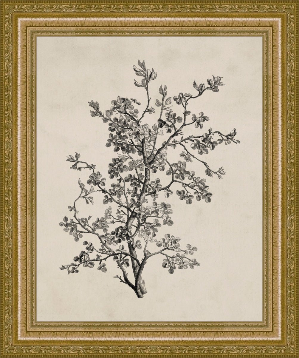 Frame and Acrylic SimulArt