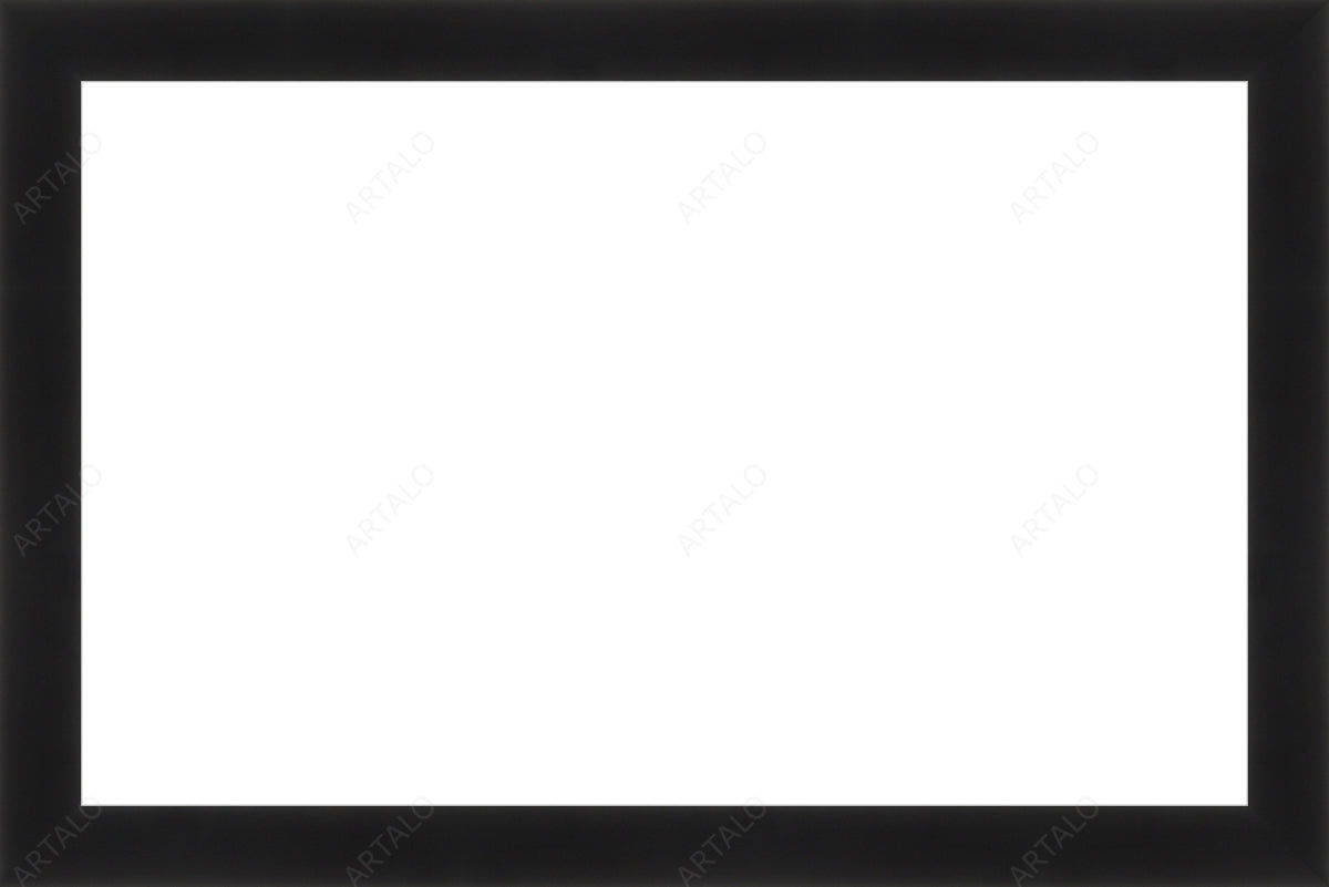 Frame and Acrylic SimulArt