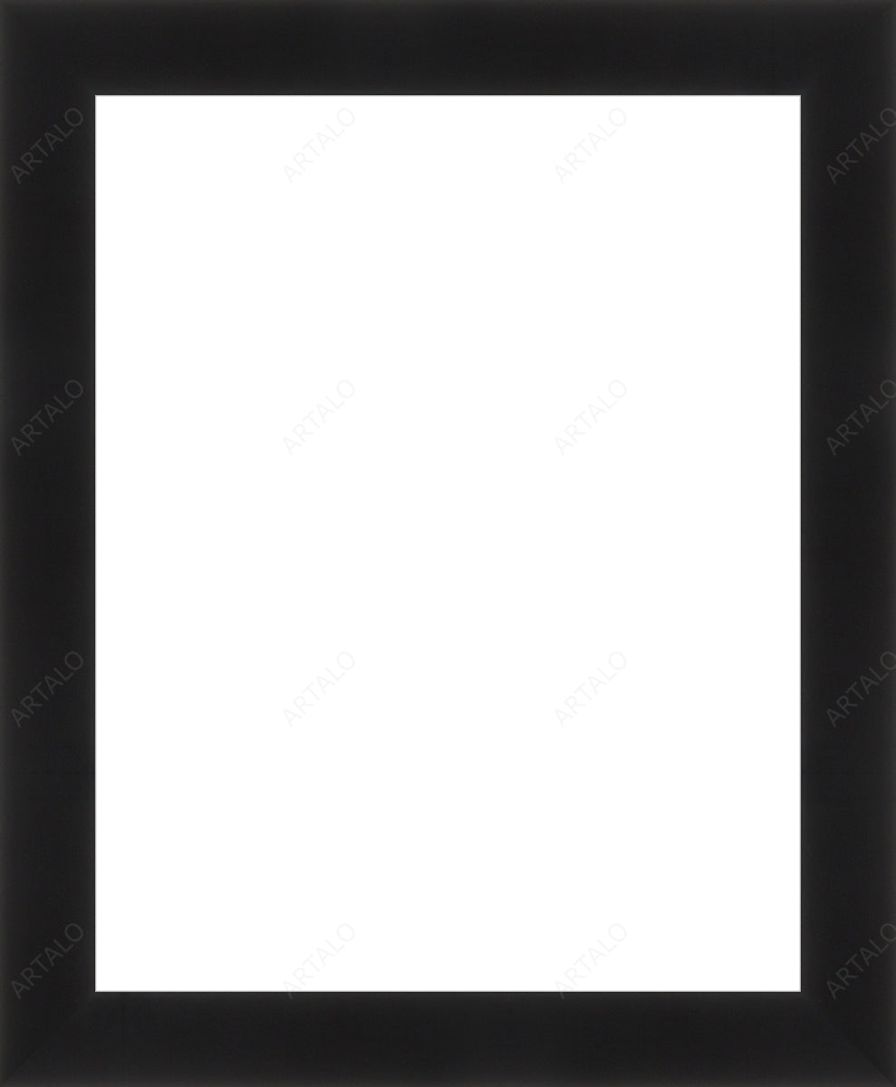 Frame and Acrylic SimulArt
