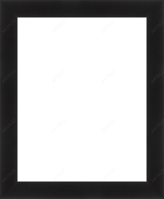 Frame and Acrylic SimulArt