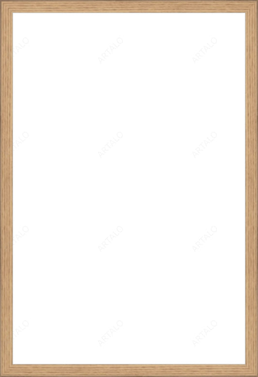 Frame and Acrylic SimulArt