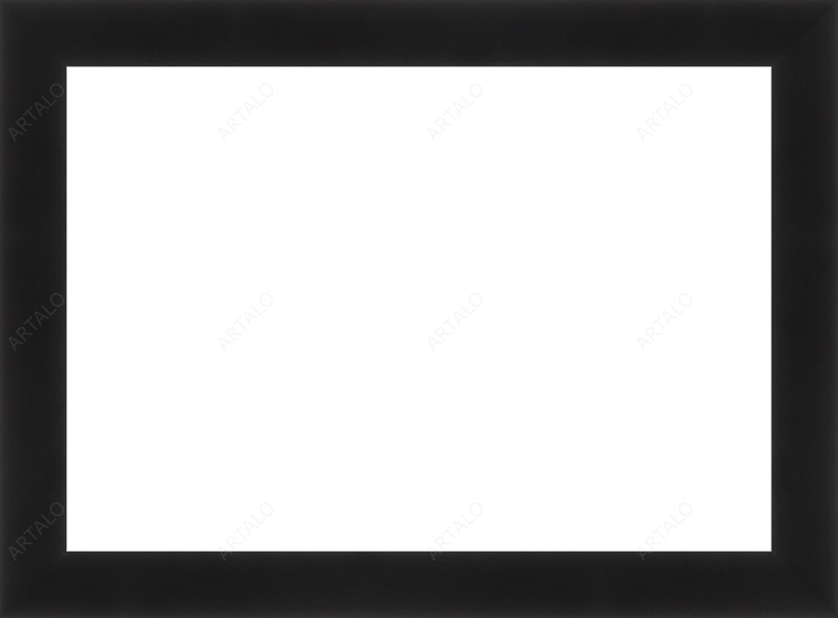 Frame and Acrylic SimulArt