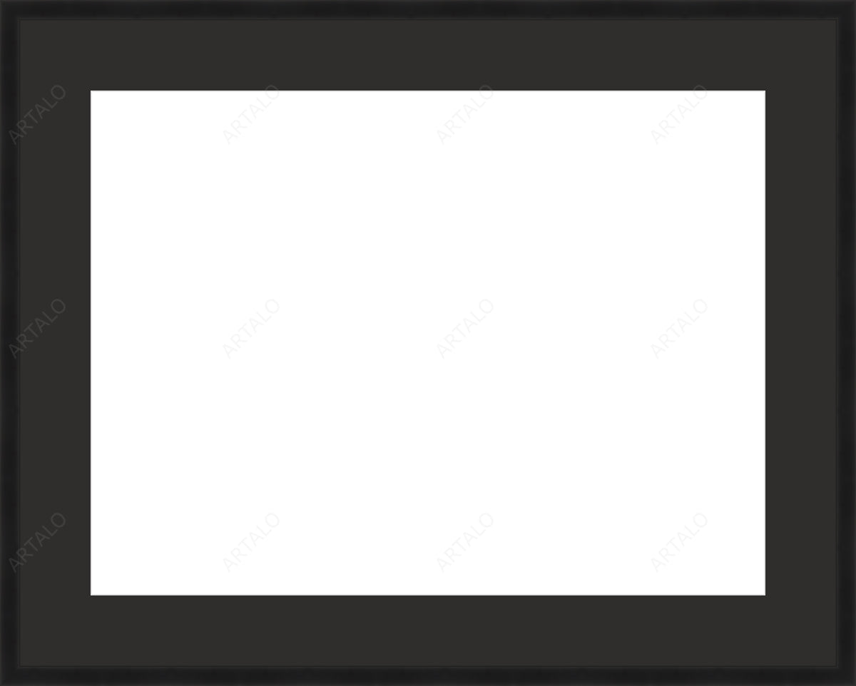 Frame, Mat and Acrylic SimulArt