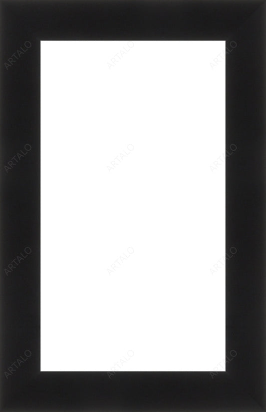 Frame and Acrylic SimulArt