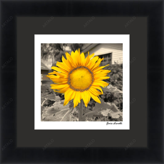 Frame, Mat and Acrylic SimulArt