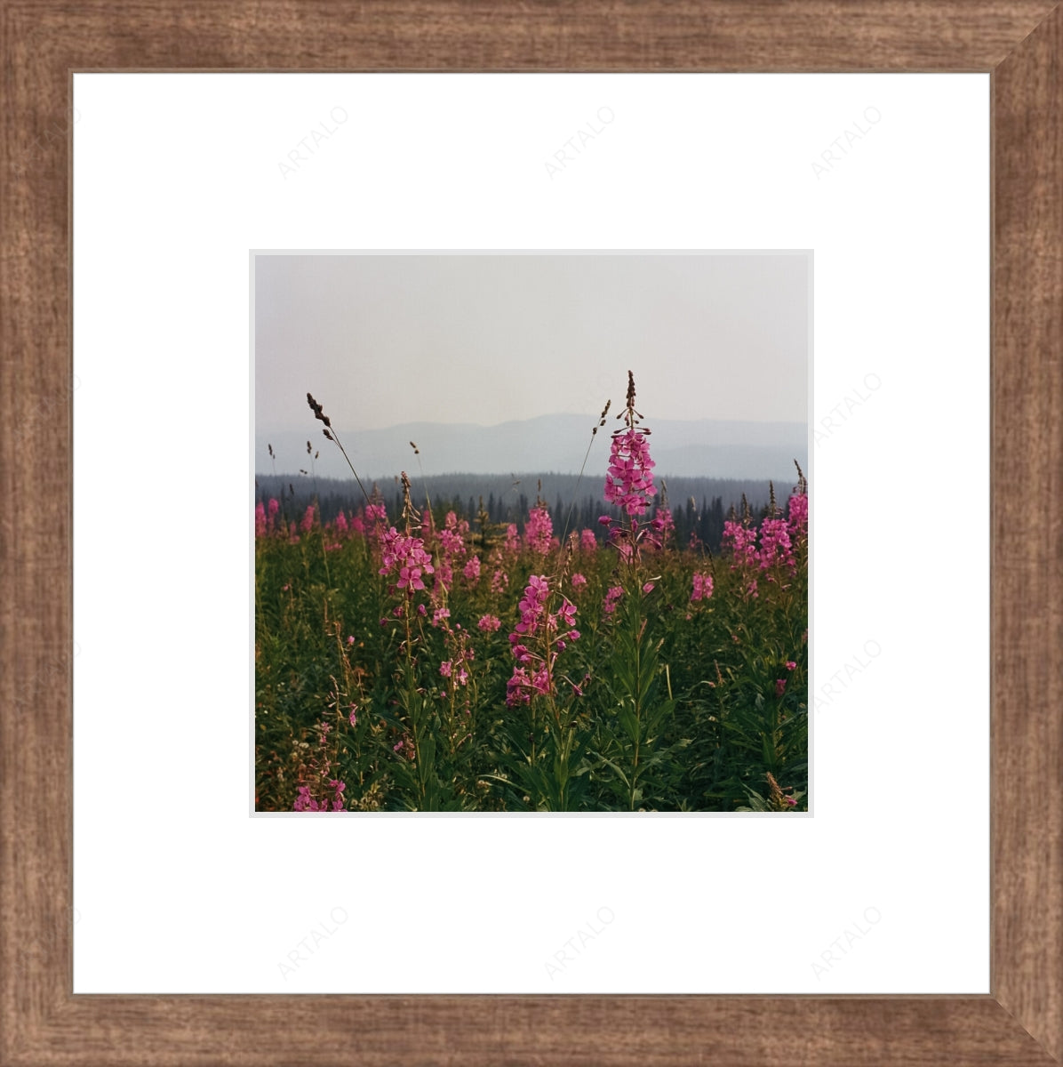 Frame, Mat and Acrylic SimulArt