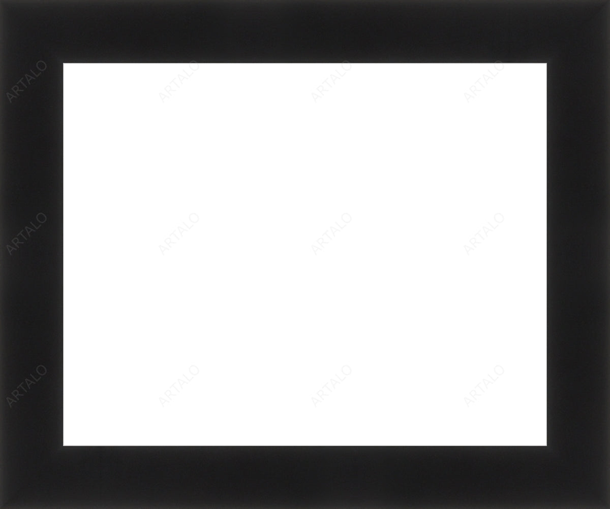 Frame, Mat and Acrylic SimulArt