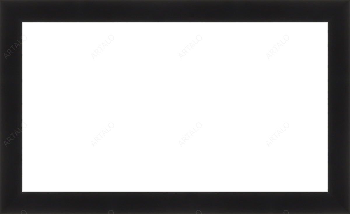Frame and Acrylic SimulArt