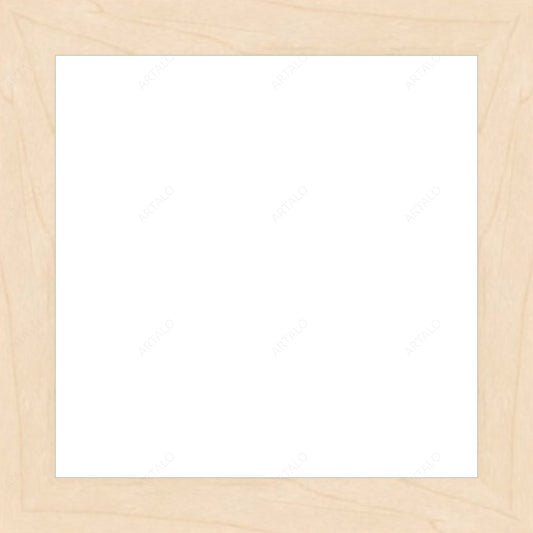 Frame and Acrylic SimulArt
