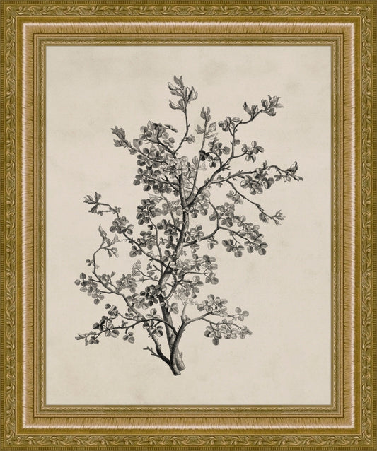 Frame and Acrylic SimulArt