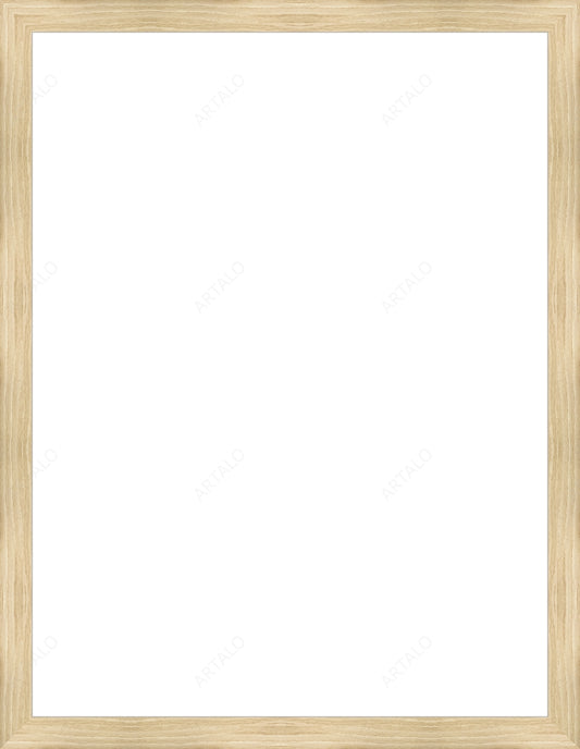 Frame and Acrylic SimulArt