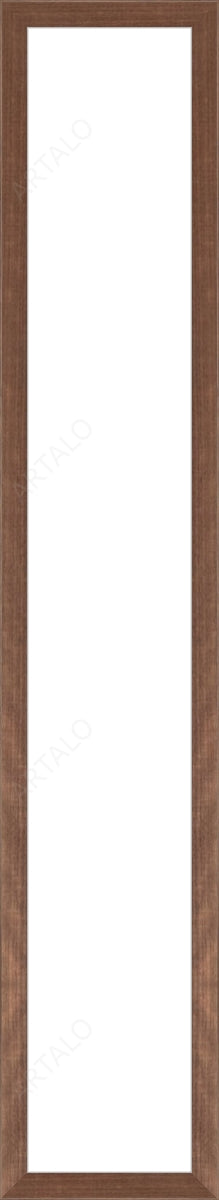 Frame and Acrylic SimulArt