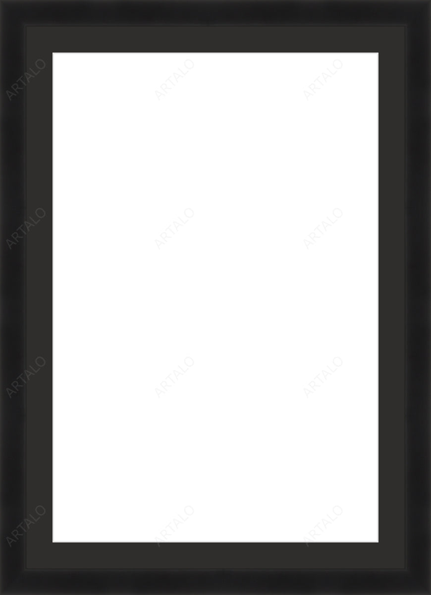 Frame, Mat and Acrylic SimulArt
