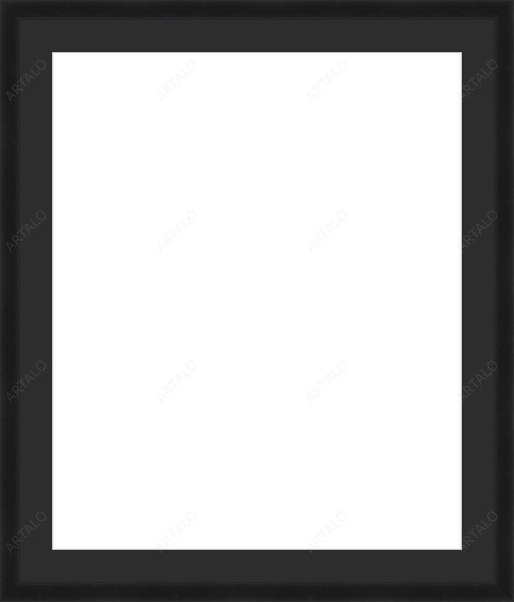 Frame, Mat and Acrylic SimulArt