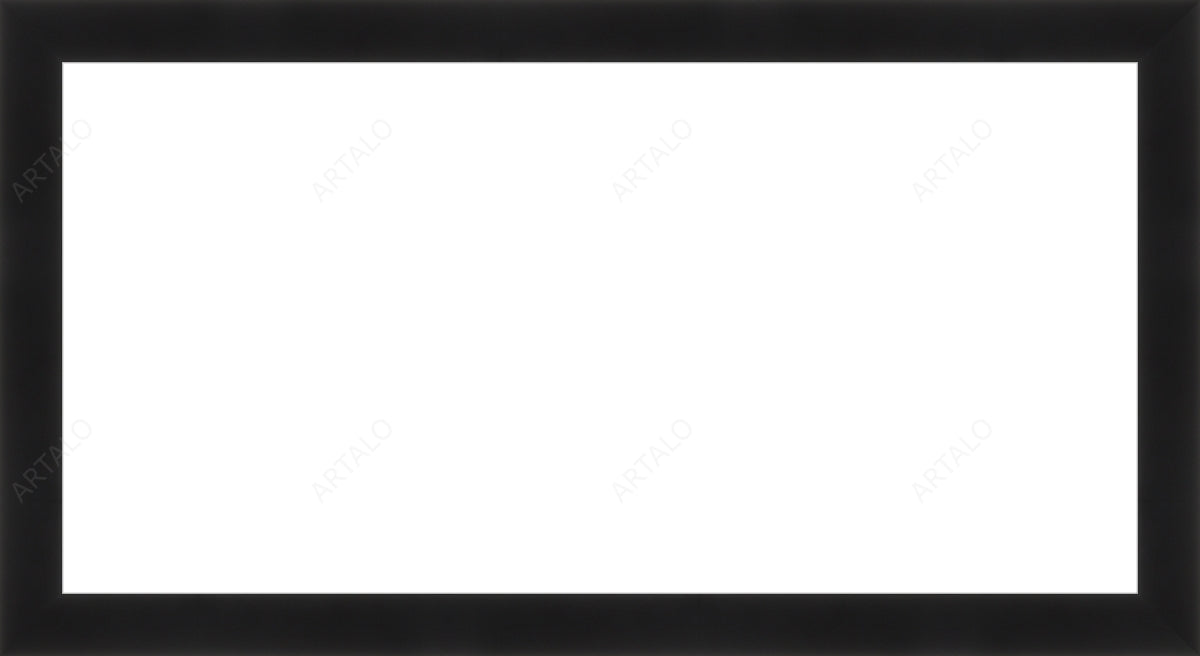 Frame and Acrylic SimulArt