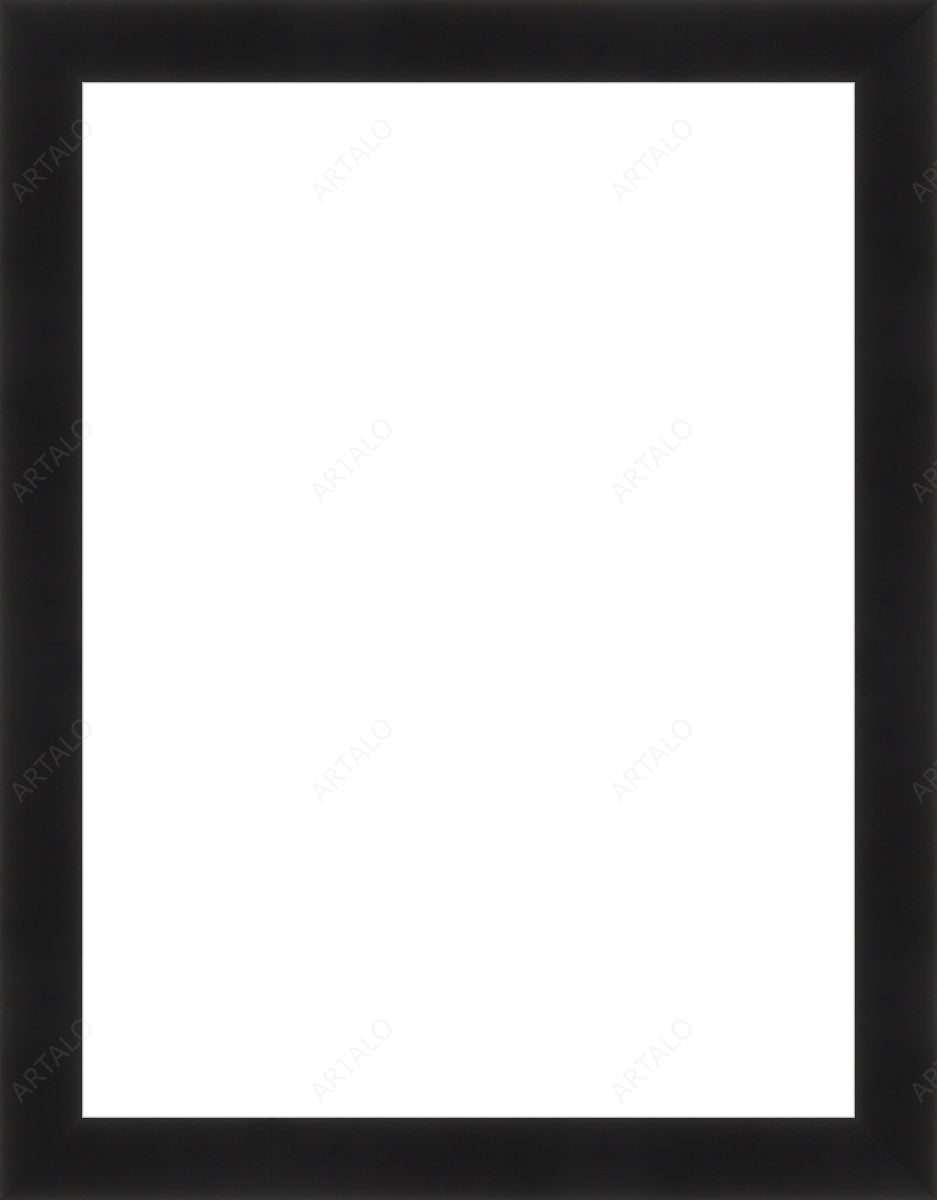Frame and Acrylic SimulArt