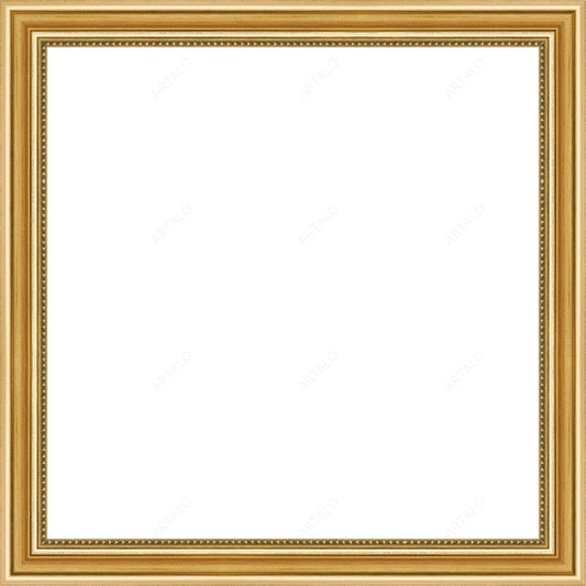 Frame and Acrylic SimulArt