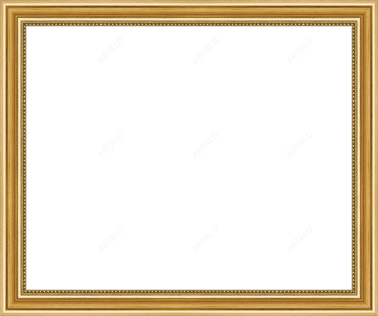 Frame and Acrylic SimulArt